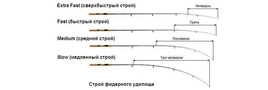 Строй спиннинговых удилищ таблица. Строй удилища спиннинг. Regular fast Строй фидера. Классификация Строй фидерного удилища. Строй fast