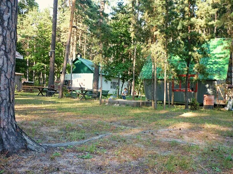 миасс базы отдыха на озере. база отдыха медведь липецк. база отдыха увильды челябинская область медвежий угол. турбаза медвежий угол иркутская область боханский район. медвежий угол алтай база.