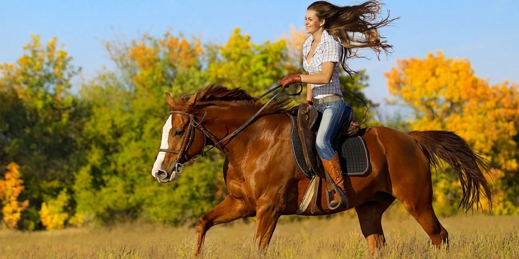 Хорс райдинг. Катание на лошадях. Прогулка на лошадях. Катание на лошадях. Конная прогулка.