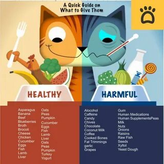 Human food