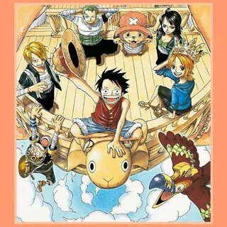 One piece op