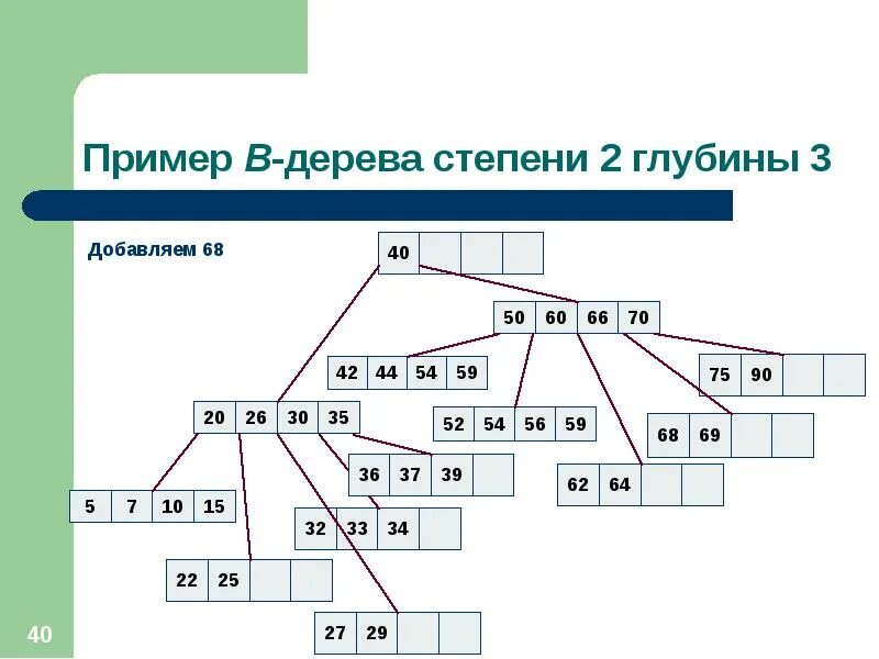 2 3 дерево пример Проект семейное древо 2 класс