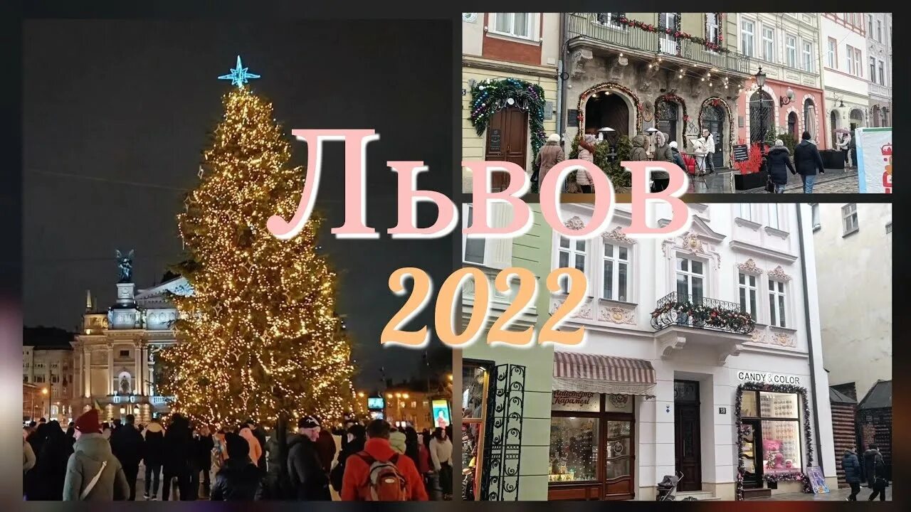 Украшать львов. Елка во Львове 2022. Львов Рождество. Львов город 2022. Рождество во Львове 2022.