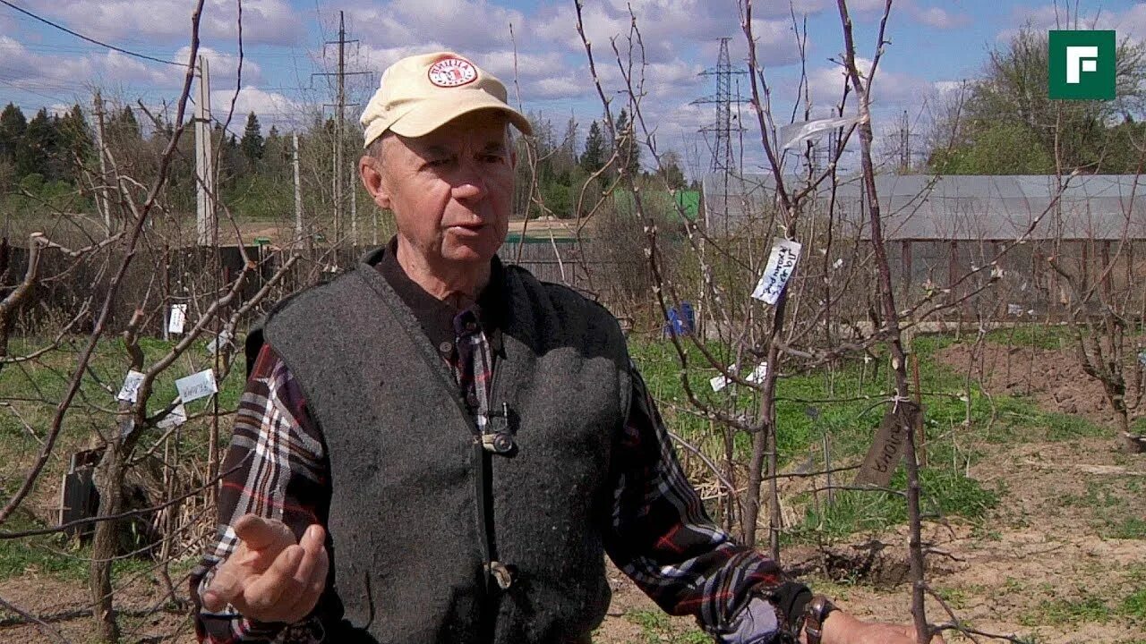 Агроном оранжерея. Советы агронома. Агроном овощевод. Мужик с урожаем картошки. Рекомендации агронома фото.