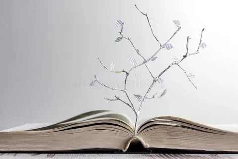 Книга неочема