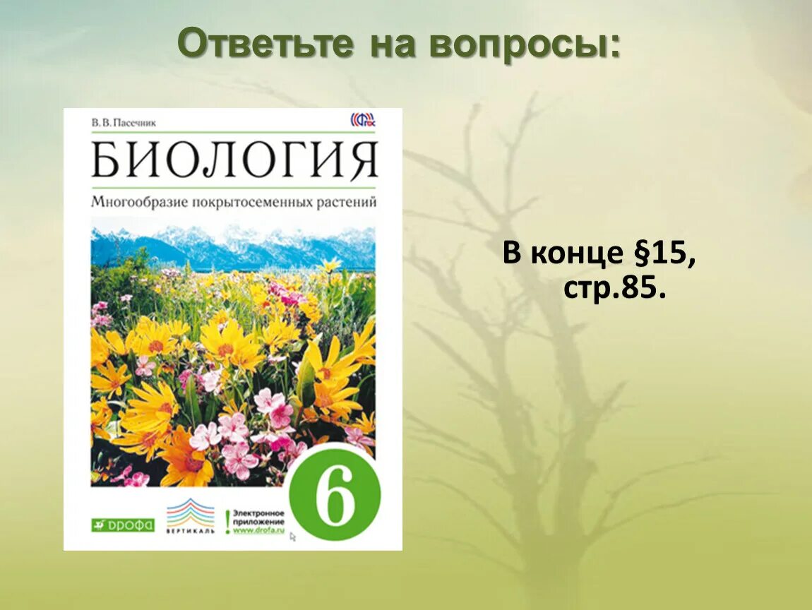 Минеральное питание растений тест по биологии 6. Питание растений 6 класс. Минеральное питание растений конспект. Минеральное питание растений 6 класс презентация. Минеральное питание растений презентация 6 класс Пасечник.