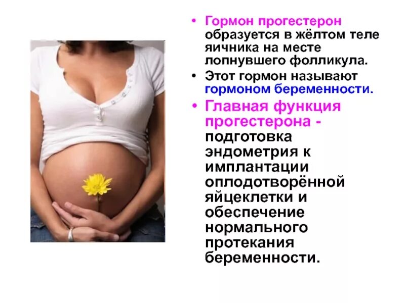 Какой гормон способствует. Гормон беременности называют. гормоны желтого тела яичников. в желтом теле образуется гормон. гормоны желтого тела беременности.