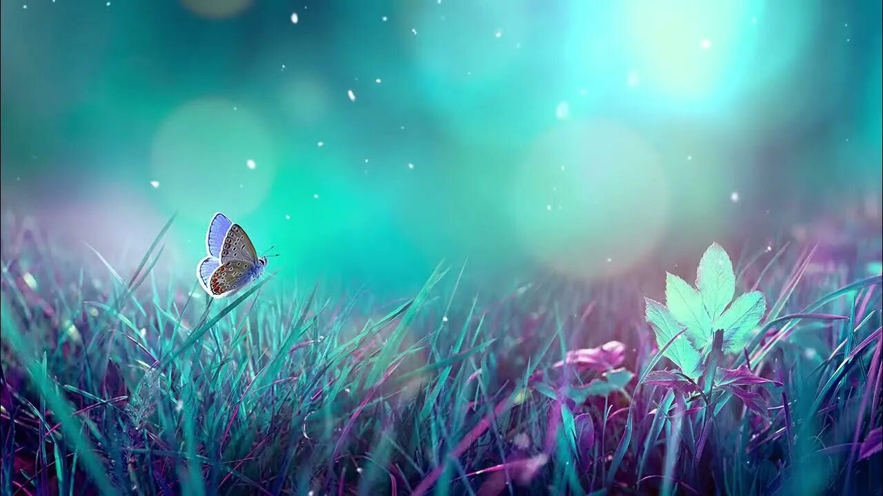 Релаксация для сна. Глубокий сон музыка для сна. Sim aquarium 3. Аквариум медитация. Глубокий сон.