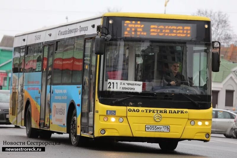 Автобус старая деревня сестрорецк. Автобус сестрорецк. автобус 211 зеленогорск. третий парк автобусы зеленогорск. 211 автобус сестрорецк.