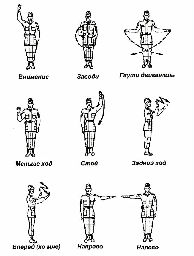 Схема управления строем. Таблица сигналов для управления машиной. сигналы управления машинами флажками в вс рф. таблица сигналов для управления машиной флажками. сигналы управления флажками в вс рф.