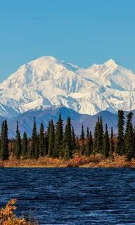 Фартел