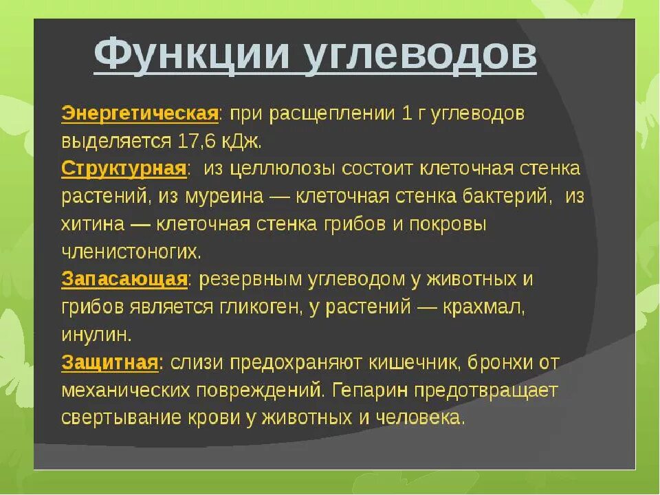 Какие функции выполняют липиды и углеводы