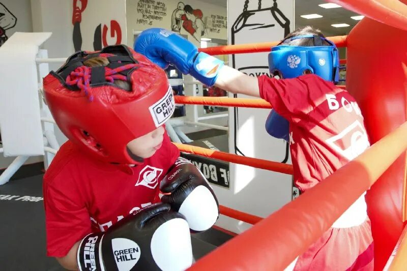 бокс люберцы