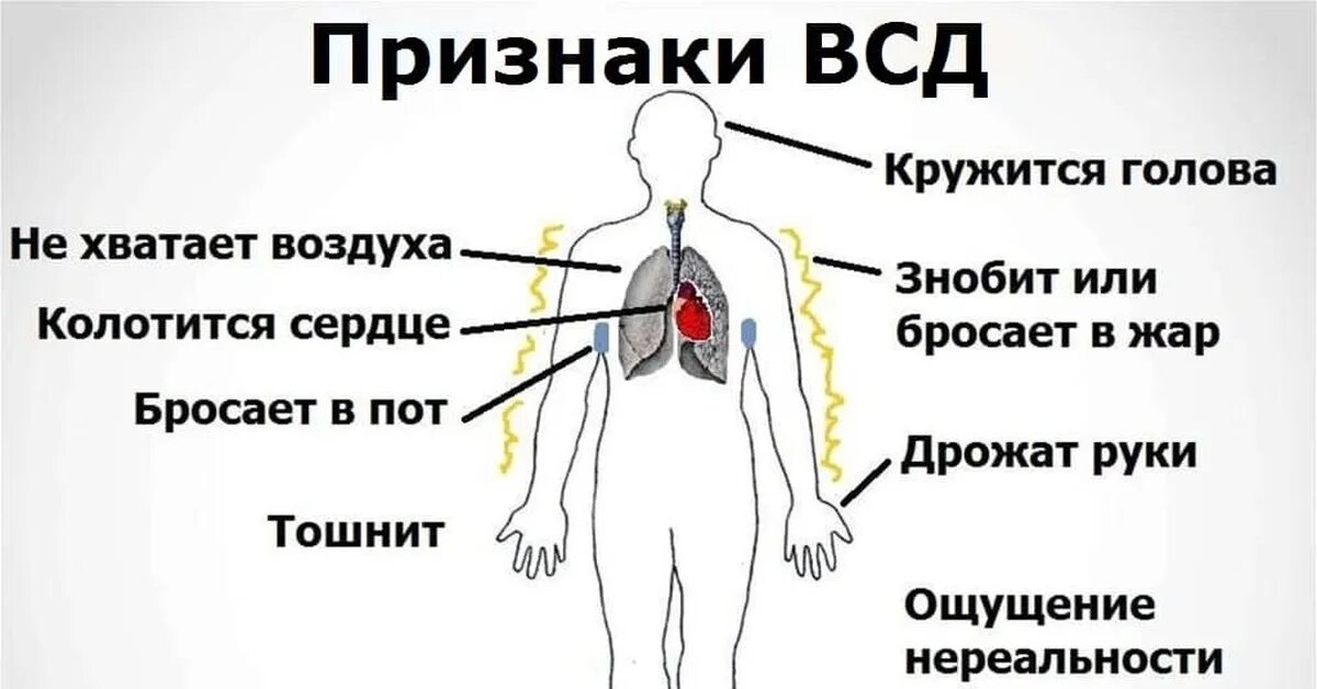 Стучит лечат. Кружится голова и тошнит. Кружитьсяголоваитошнит. Сердце тошнит и кружится голова.