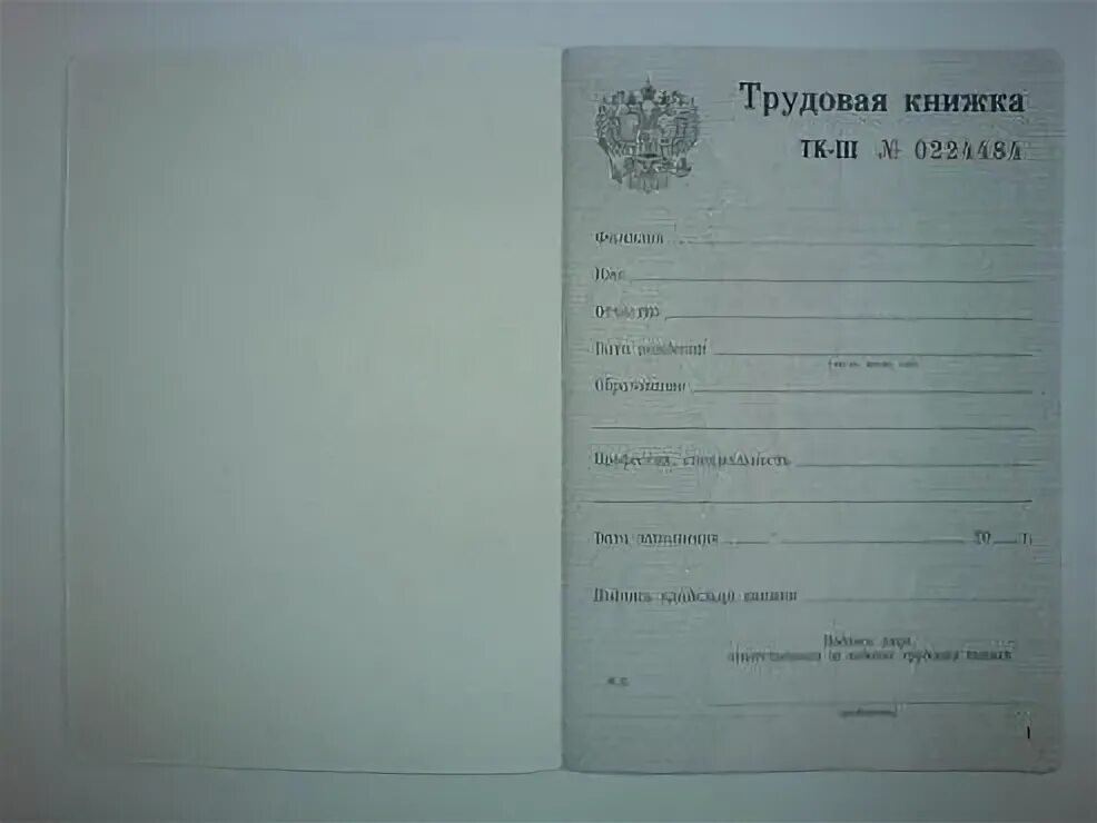 Трудовая книжка тк 2