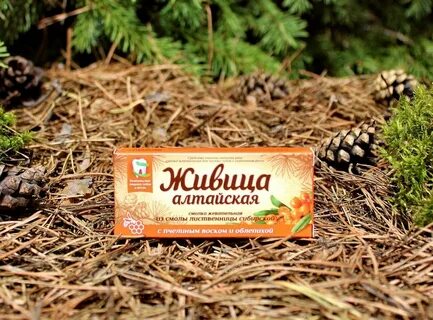 Живица алтайская