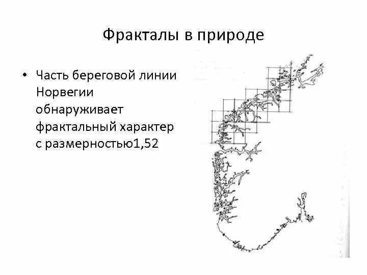 Составляющие береговой линии. Фрактал в природе Береговая линия. Фрактальная Размерность береговой линии. Береговая линия Великобритании фрактал. Парадокс береговой линии.