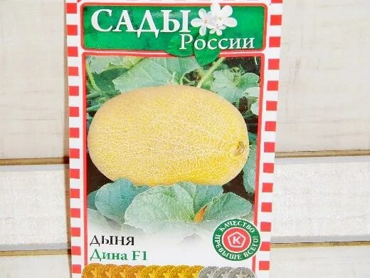 Сорта дыни для теплицы. Семена дыни для сибири.