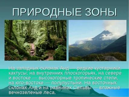 Собратьям по перу