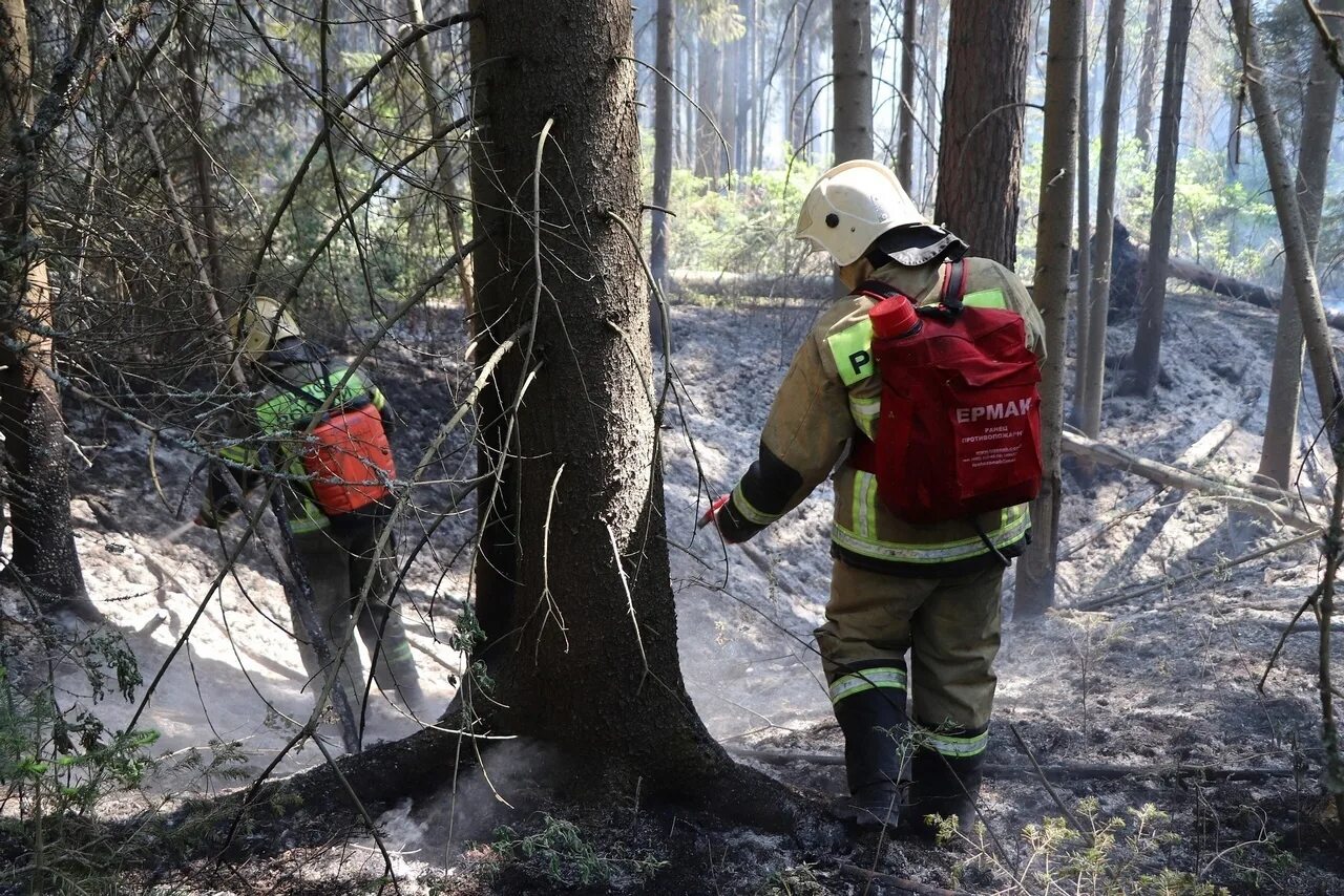 Пожар дома. Деревня сюрек удмуртия. Сгорел дачник новосибирск. Пожар в удмуртии. 21.