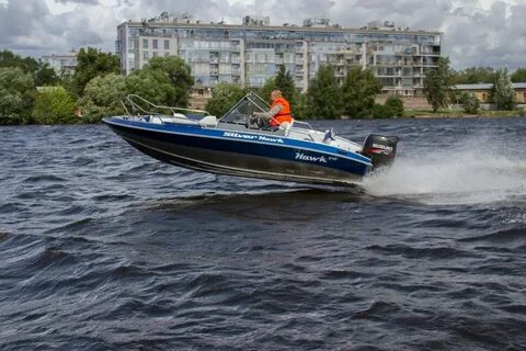 Сильвер хавк 540