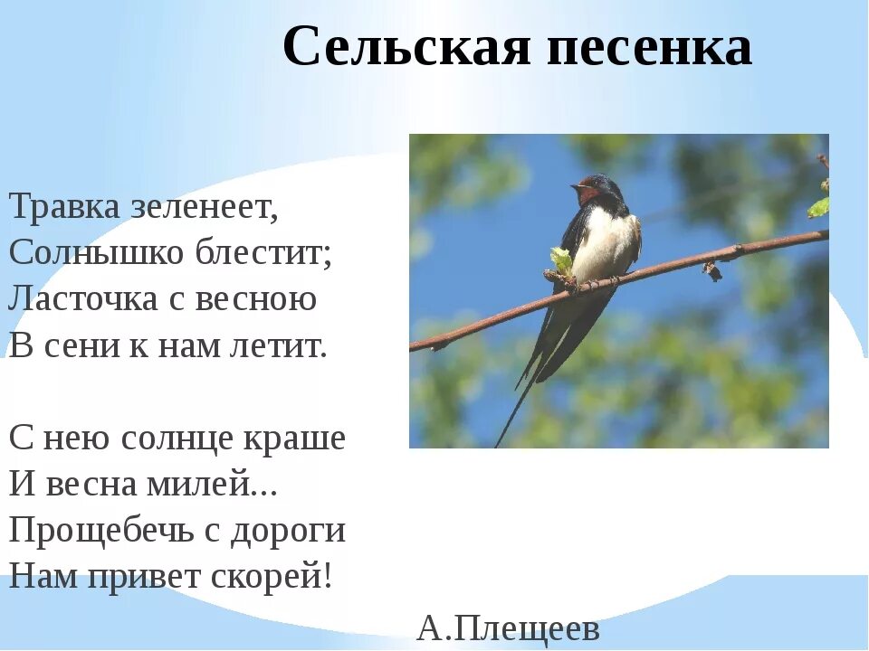 Стих Плещеева Ласточка. Стихотворение а Плещеева травка зеленеет солнышко. Плещеев стихотворение травка зеленеет солнышко блестит. Полностью стих травка зеленеет