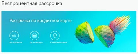 Рассрочка на 6 месяцев без процентов