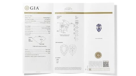 Gia edu