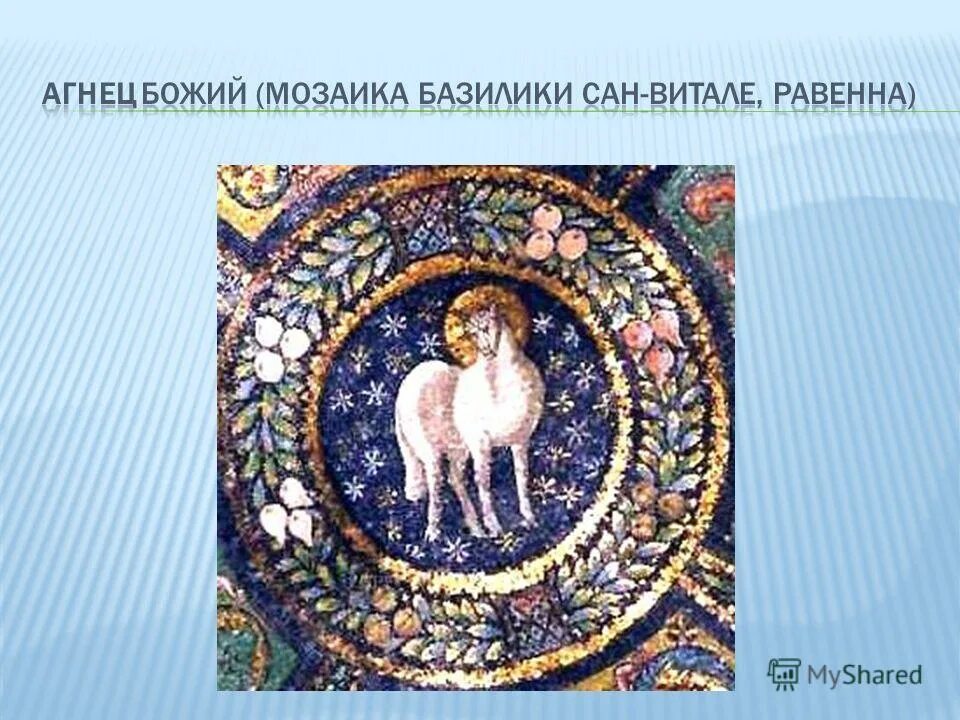 Агнец божий. Франсиско де сурбаран агнец божий. Жертвенный агнец. Слово агнец на современный язык. Агнец божий agnus dei.