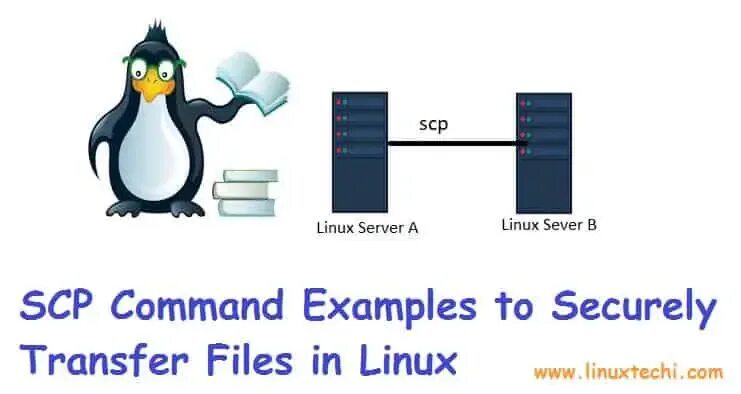 Scp linux. Утилита scp linux. scp file transfer.