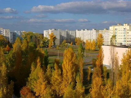 Леса старый оскол