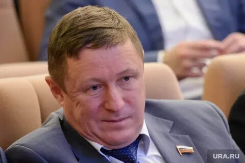 Депутаты владимира