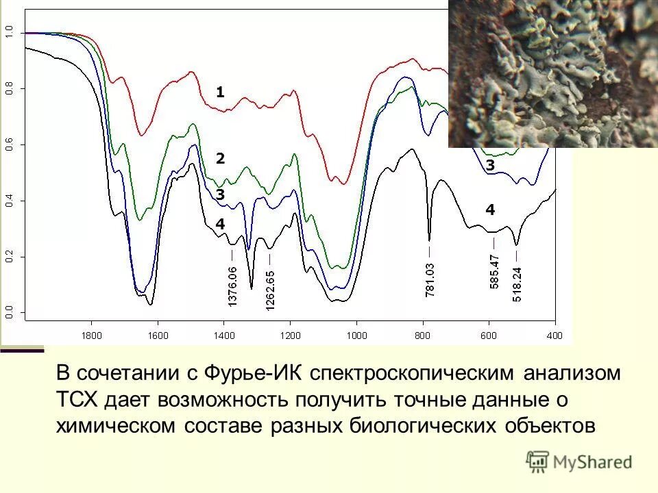 получить точные данные о