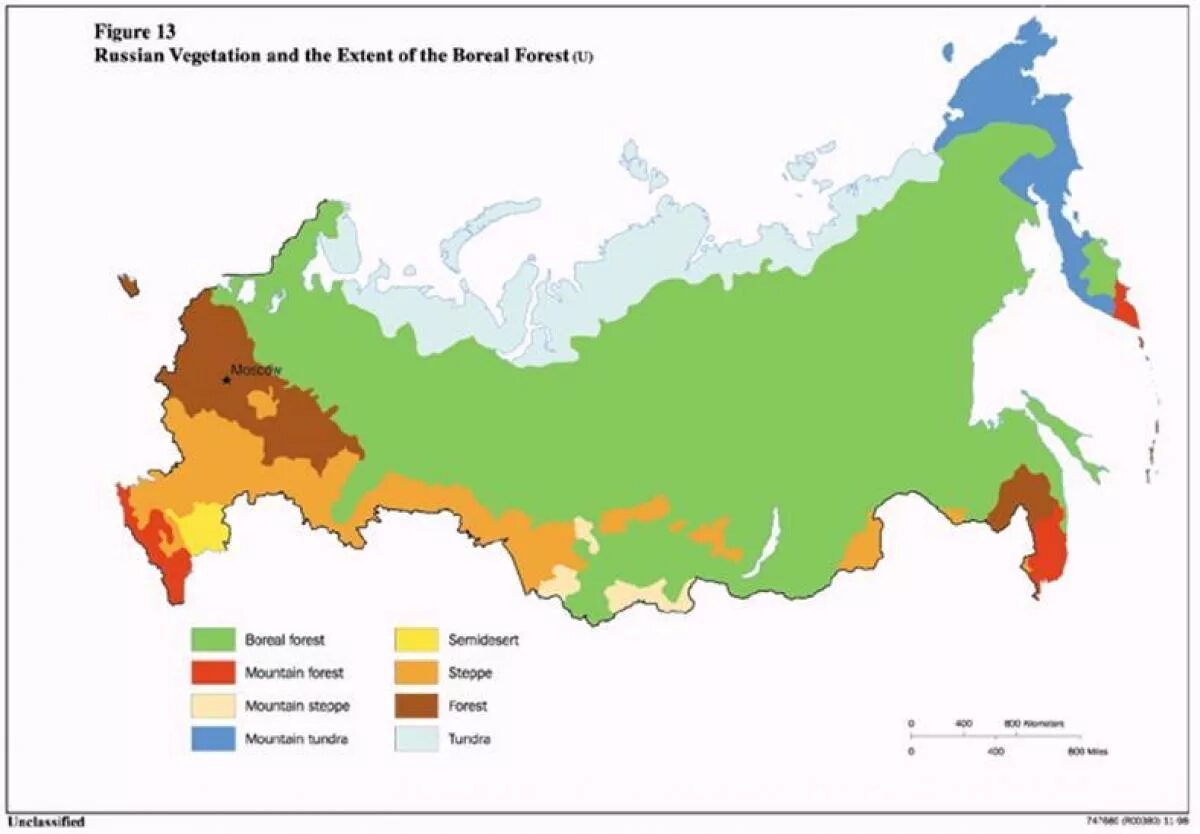 Климатические зона Тайга Россия на карте. Климатическая карта тайги России. Карта климатических зон. Таежная зона России на карте.