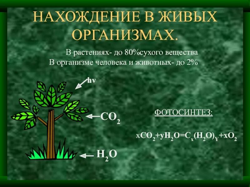 Сухое вещество растений. Углерод в растениях. CX(h2o)y. Co2.