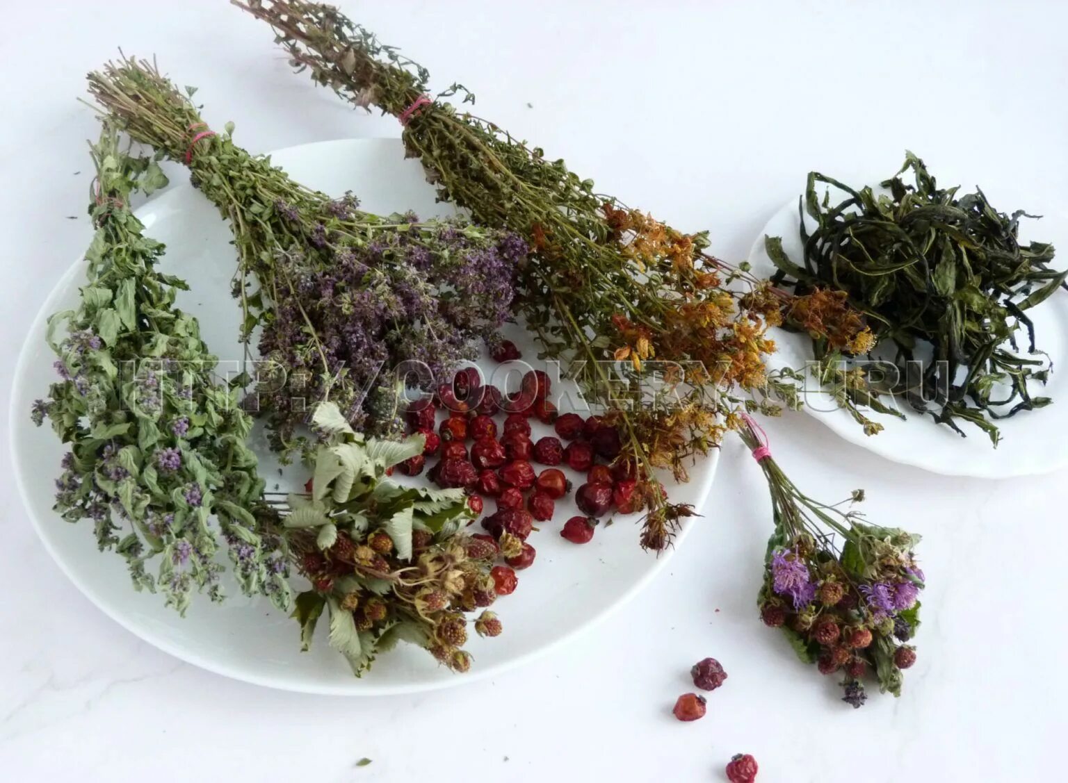 Пряная зелень. Тимьян эстрагон розмарин. Полезные травы для организма. Зелень для украшения. Какую траву добавить.