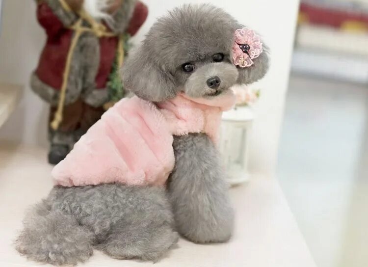 Мишки из альпаки. Мишки тедди из ткани. Мишка из войлока. Набор для валяния из шерсти. Мех бэби альпака.