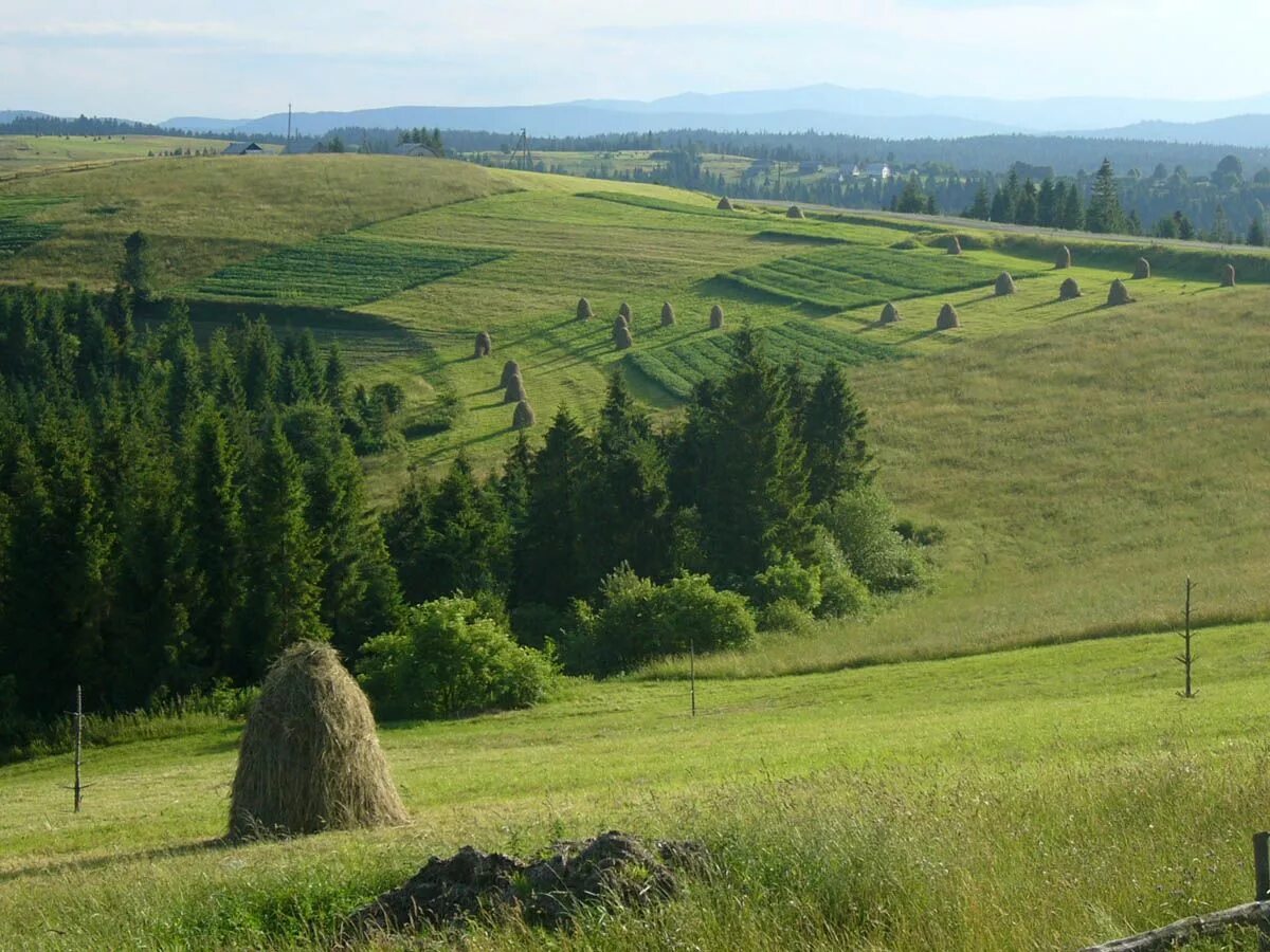 деревня в украине. местность украины. пейзаж деревня холмы. холмистая местность в белоруссии. деревня на холме.