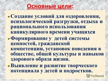 Основная цель создания детского оздоровительного лагеря