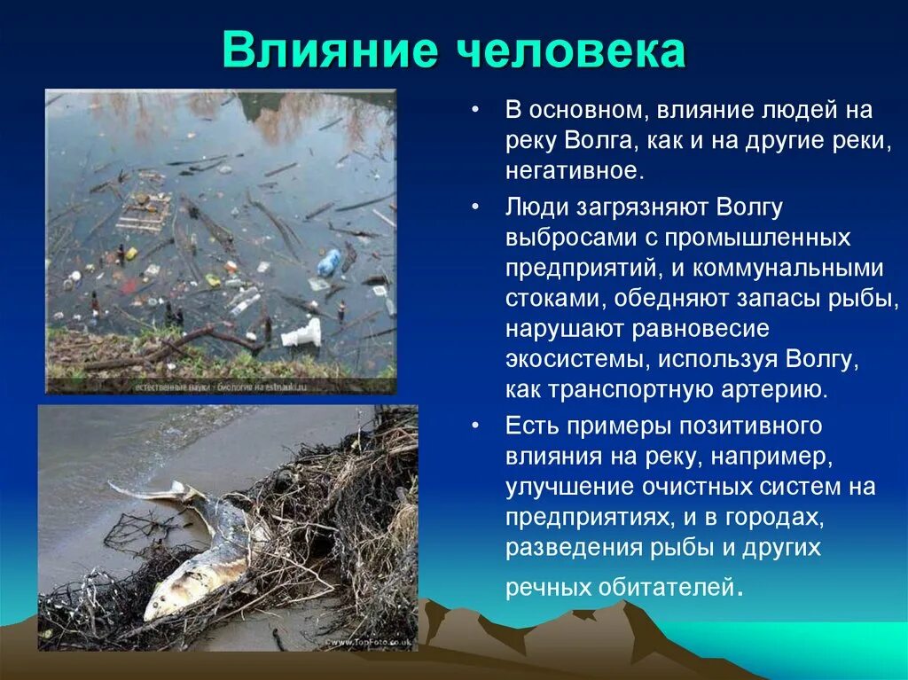 Как люди влияют на реку волга. Влияние человека на реку. Как деятельность людей влияет на реку. Как люди влияют на реку Волгу. Как деятельность людей влияет на реку Волга.