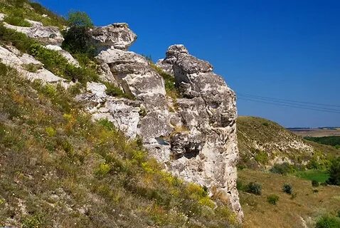 Лысогорка