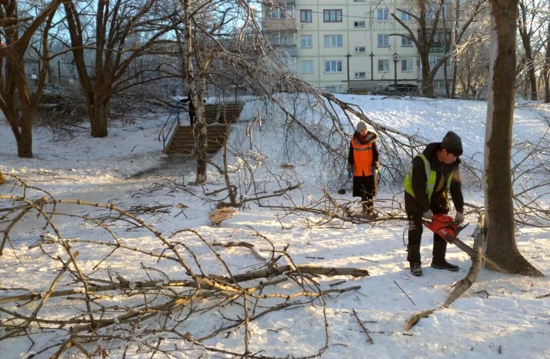 Ураган во владивостоке. Устранение проблем города. Уборка территории летом. Помощи на территории города. Помощи на территории города.