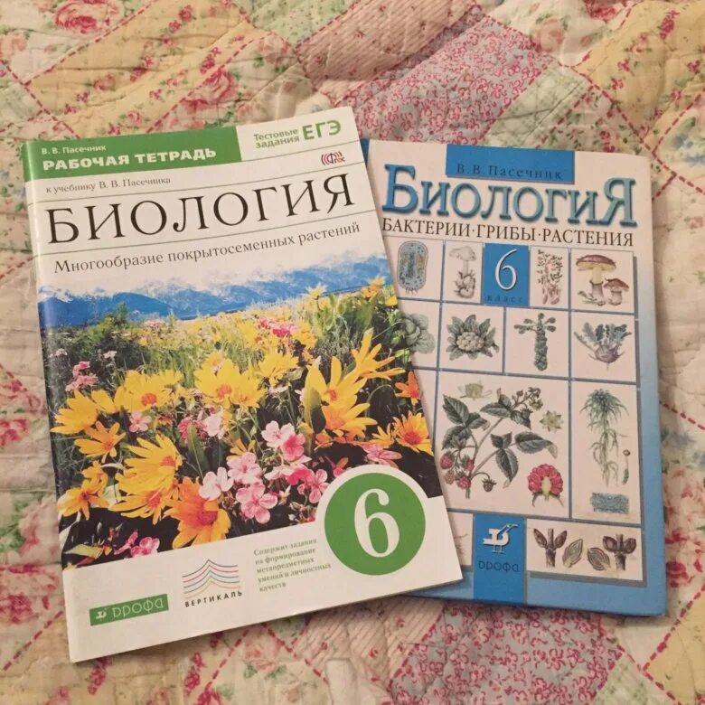 Биология 8 дрофа. Биология Пасечник Дрофа 8 класс. Биология 6 класс. Биология 6 кл Пасечник. Биология. 6 Класс. Учебник.