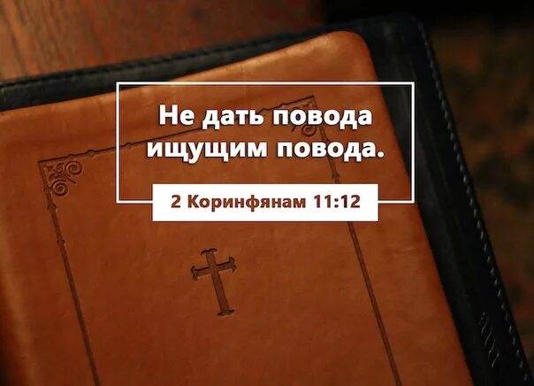 Повода не подам. Не давать повода ищущим повода. Не давай повода ищущим повода Библия. Из Библии не давайте повод ищущим. Не давайте повода ищущим повода послание к Коринфянам.