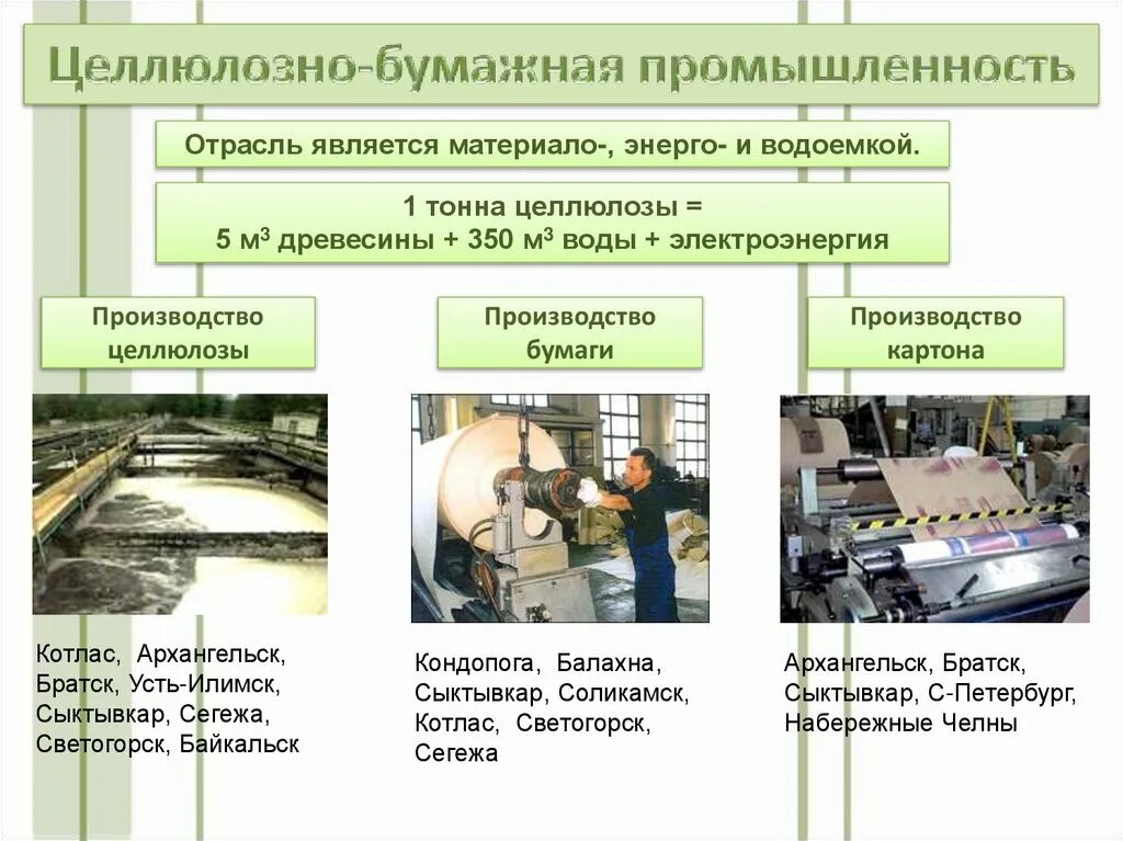 Отрасли промышленности целлюлозно бумажной в России. Целлюлозно бумажная отрасль Лесной промышленности. Отрасли производства промышленности. Лесная промышленность презентация. Что производят отрасли промышленности