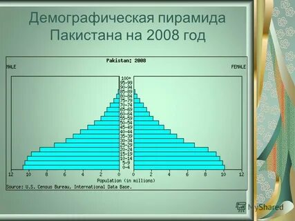 Население реферат