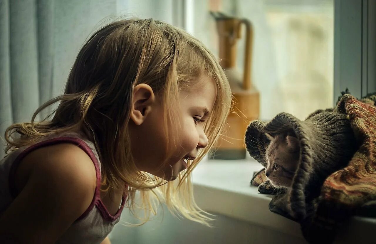 Девочка с котом. Девочка с котятами. кошка для детей. ребенок. доброта дети.