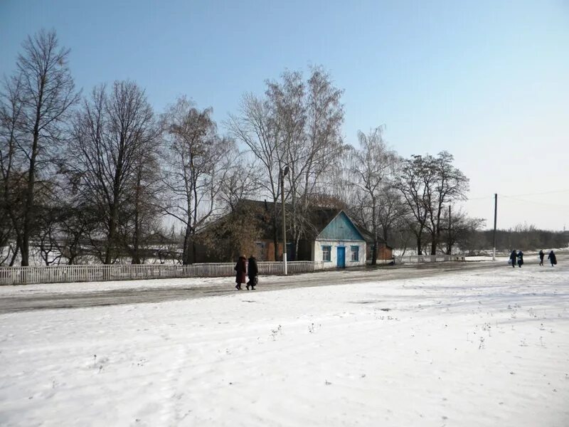 Беловский район село. Озерки Курская область Беловский район. Щеголек Курская область Беловский район.