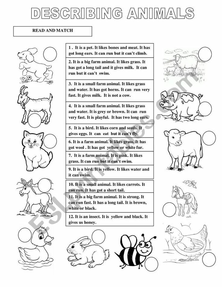 Читать animals. Описание животных worksheets. describe animals worksheet. farm animals worksheets for kids. farm animals tasks for kids.