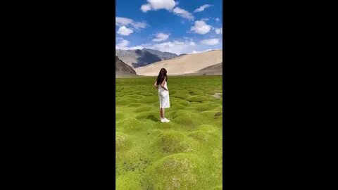 Видео про дзен